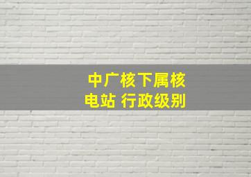 中广核下属核电站 行政级别